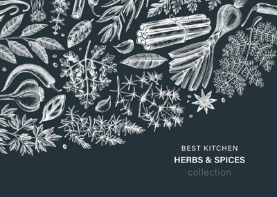 Hand-drawn herbs and spices vector banner. Hand-sketched food illustration. Vintage aromatic plants hand-drawing. Kitchen herbs and spice frame template in sketched style. Menu design on chalkboard